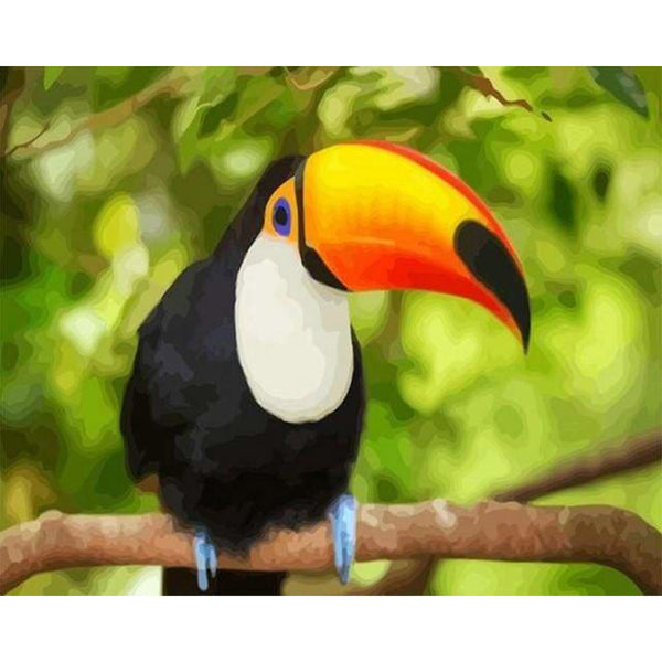 paint by numbers | Toucan | animals birds intermediate parrots | FiguredArt