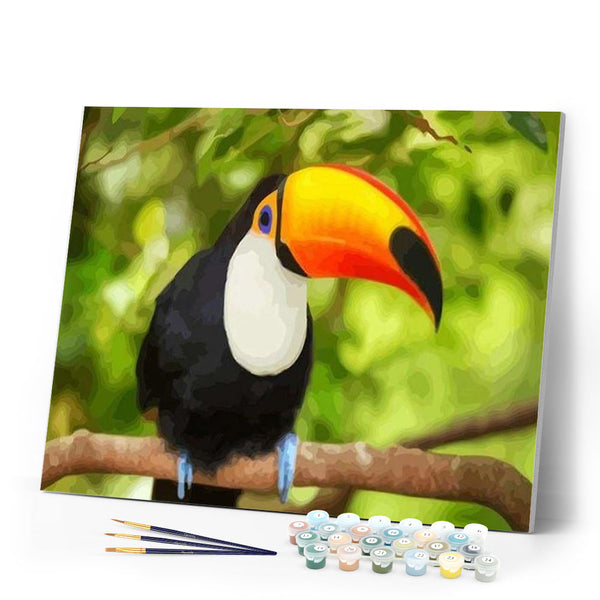 paint by numbers | Toucan | animals birds intermediate parrots | FiguredArt