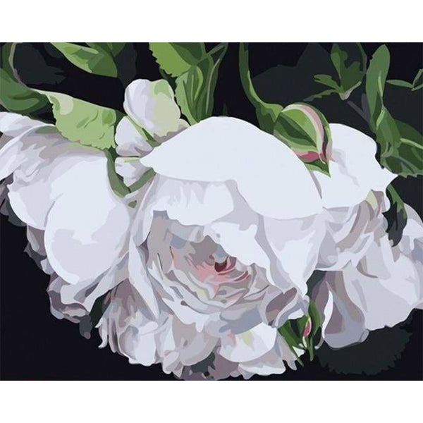 paint by numbers | White Flowers Portrait | easy flowers | FiguredArt