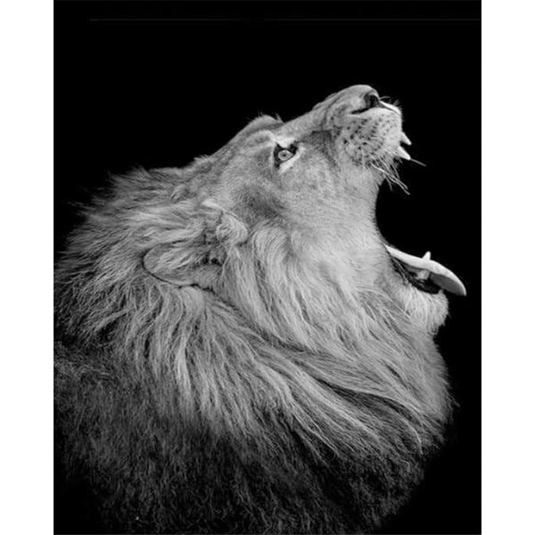 paint by numbers | Lion Profile | advanced animals lions | FiguredArt
