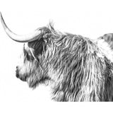 paint by numbers | Yak attacking | advanced animals bison and yaks | FiguredArt