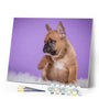 paint by numbers | Puppy | animals dogs easy | FiguredArt
