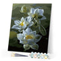 paint by numbers | Lotus Blooming | easy flowers | FiguredArt