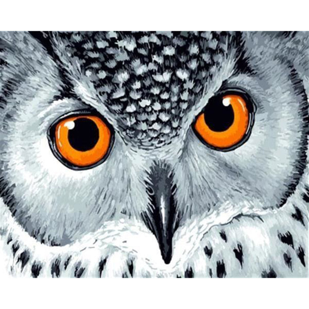 paint by numbers | Owl with Orange Eyes | animals intermediate owls | FiguredArt