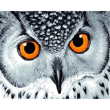 paint by numbers | Owl with Orange Eyes | animals intermediate owls | FiguredArt