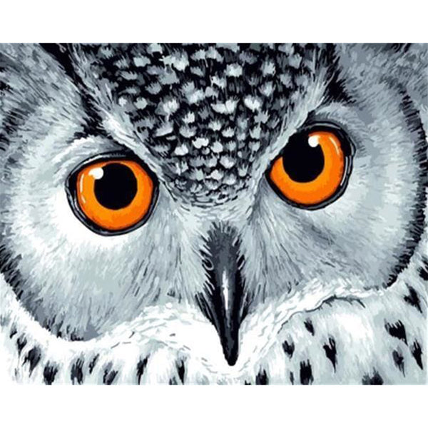 paint by numbers | Owl with Orange Eyes | animals intermediate owls | FiguredArt