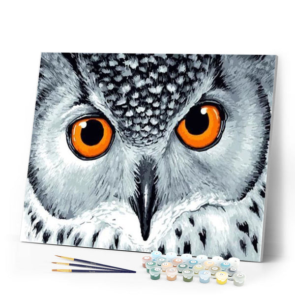 paint by numbers | Owl with Orange Eyes | animals intermediate owls | FiguredArt