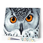 paint by numbers | Owl with Orange Eyes | animals intermediate owls | FiguredArt