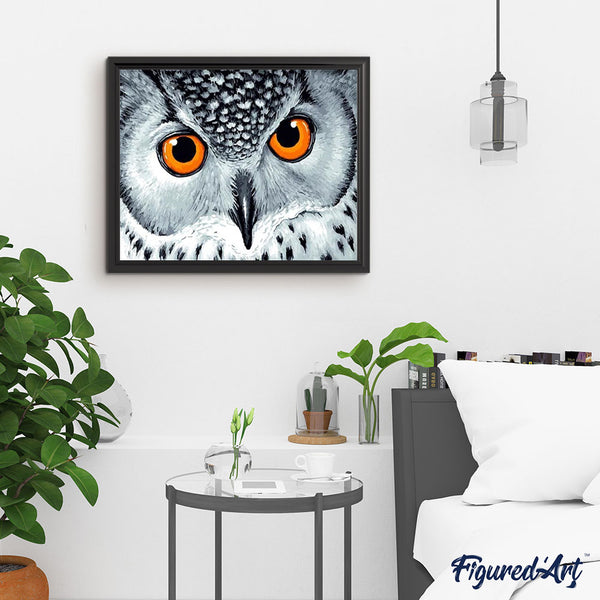 paint by numbers | Owl with Orange Eyes | animals intermediate owls | FiguredArt
