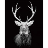 paint by numbers | Deer Retro | advanced animals deer | FiguredArt