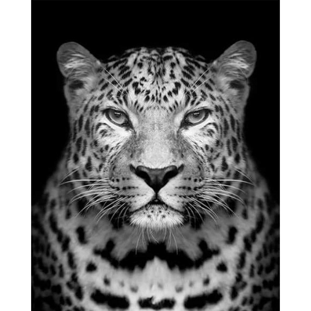 paint by numbers | Gray leopard | advanced animals leopards | FiguredArt