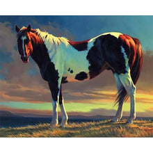 Load image into Gallery viewer, paint by numbers | White and Brown Horse | advanced animals horses | FiguredArt