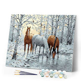 paint by numbers | Horses in the White Forest | animals horses intermediate landscapes | FiguredArt