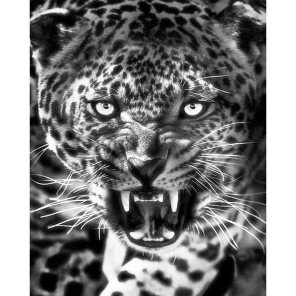 paint by numbers | Cheetah Black and White | advanced animals leopards | FiguredArt
