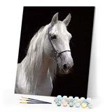 paint by numbers | White Horse and black background | advanced animals horses | FiguredArt