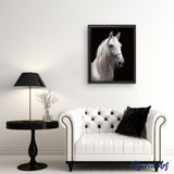 paint by numbers | White Horse and black background | advanced animals horses | FiguredArt