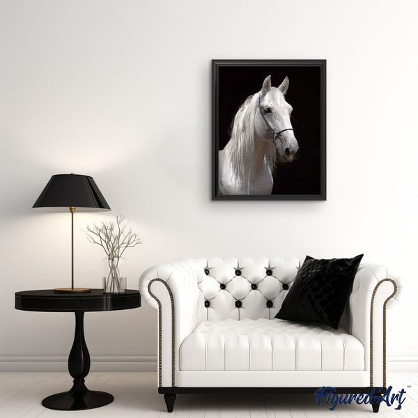 paint by numbers | White Horse and black background | advanced animals horses | FiguredArt