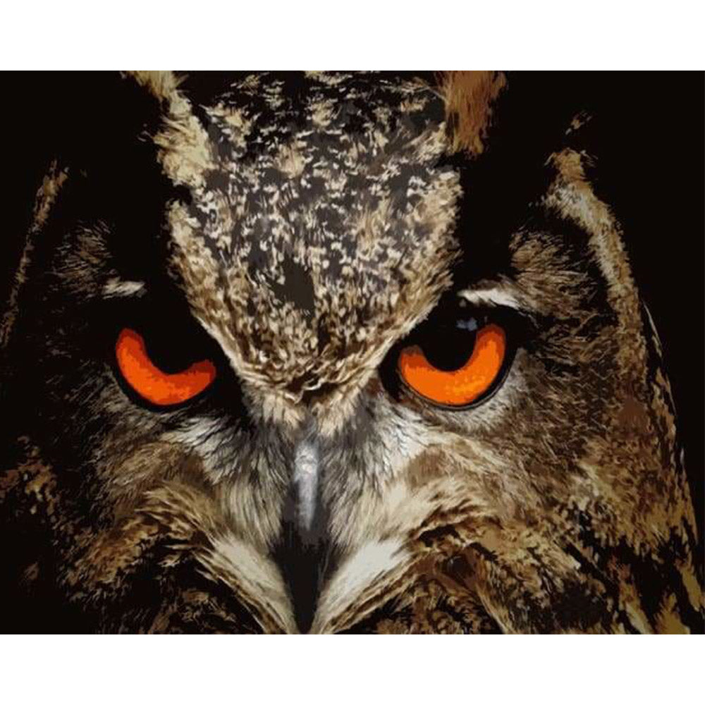 paint by numbers | Eagle Eyes | advanced animals birds eagles | FiguredArt