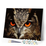 paint by numbers | Eagle Eyes | advanced animals birds eagles | FiguredArt
