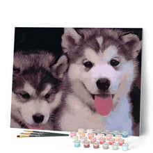 Load image into Gallery viewer, paint by numbers | Two Puppies | animals dogs intermediate | FiguredArt