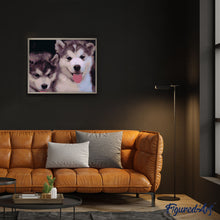 Load image into Gallery viewer, paint by numbers | Two Puppies | animals dogs intermediate | FiguredArt