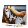 paint by numbers | Magic Horse | advanced animals horses | FiguredArt