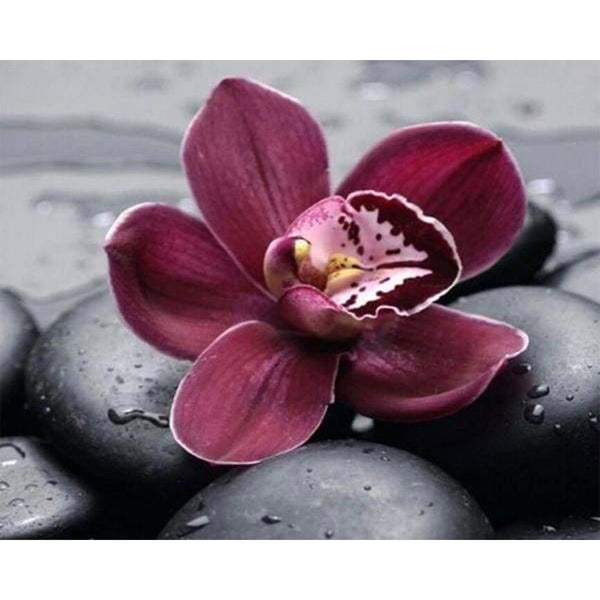 paint by numbers | Stone Flower | flowers intermediate | FiguredArt