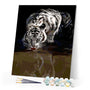 paint by numbers | Tiger Reflection | animals intermediate tigers | FiguredArt