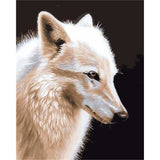 paint by numbers | White Wolf | animals intermediate wolves | FiguredArt