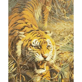 paint by numbers | Angry Tiger | animals intermediate tigers | FiguredArt