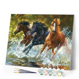 paint by numbers | Horses of Camargue | animals horses intermediate | FiguredArt