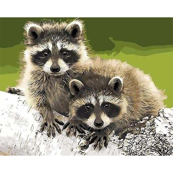 paint by numbers | Raccoons | intermediate landscapes raccoons | FiguredArt