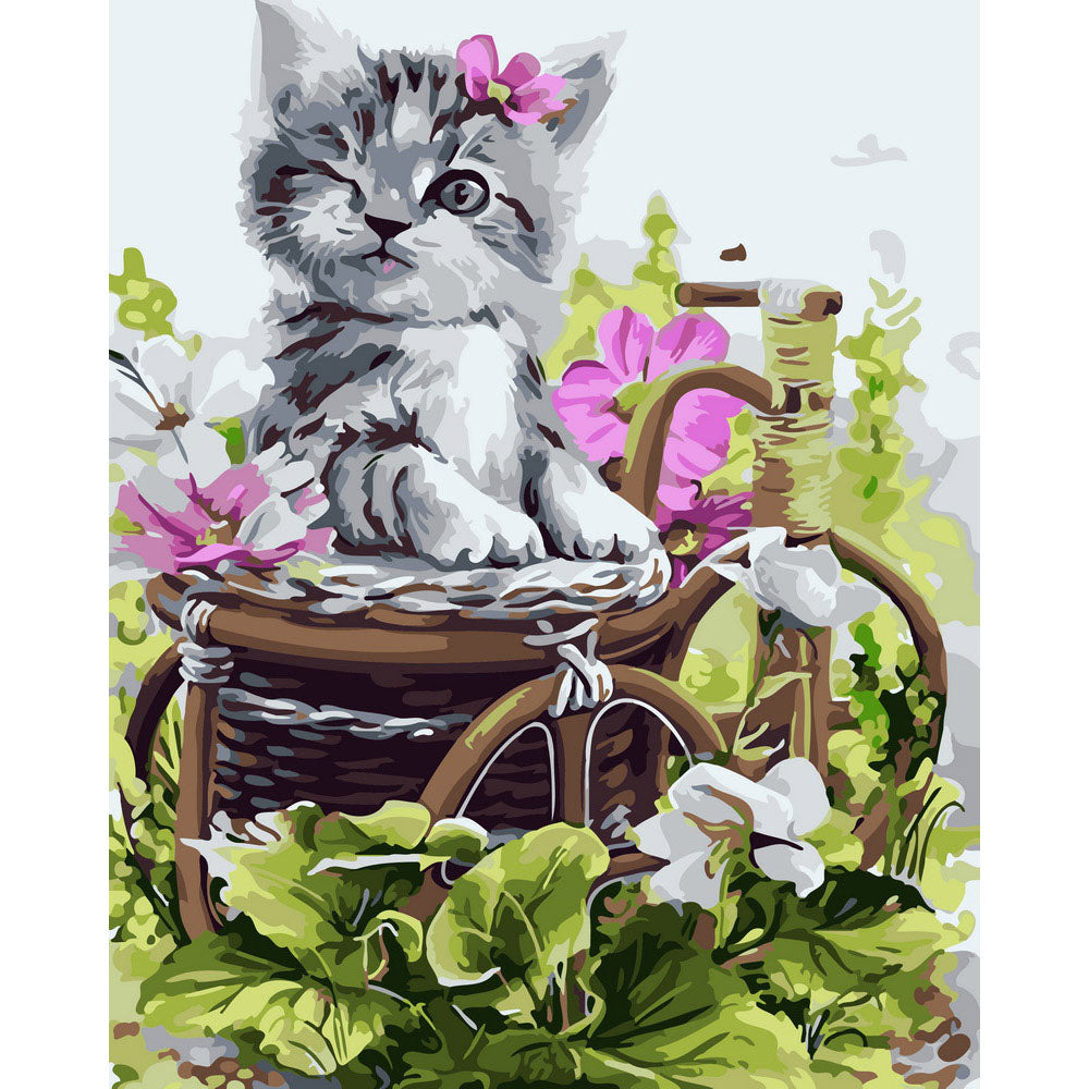 Cute gray kitten