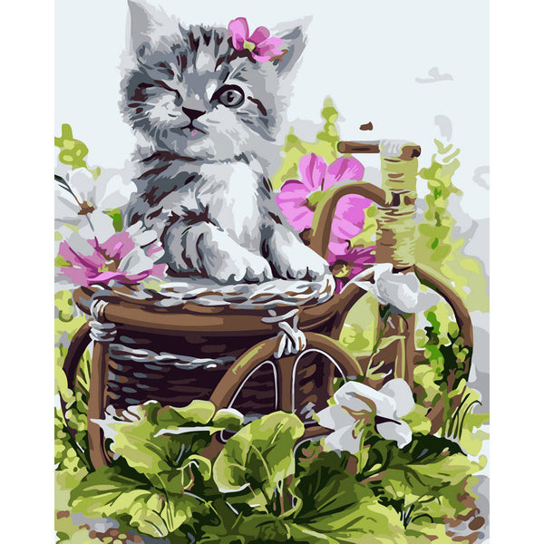 Cute gray kitten