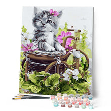 Load image into Gallery viewer, Cute gray kitten