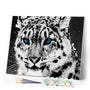 Paint by Numbers - Portrait of a tiger with blue eyes