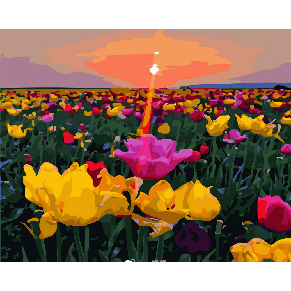 Sunset and flower fields