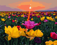Load image into Gallery viewer, Paint by Numbers - Sunset and flower fields
