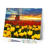 Paint by Numbers - Windmill and red and yellow tulips