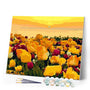 Paint by Numbers - Tulip fields