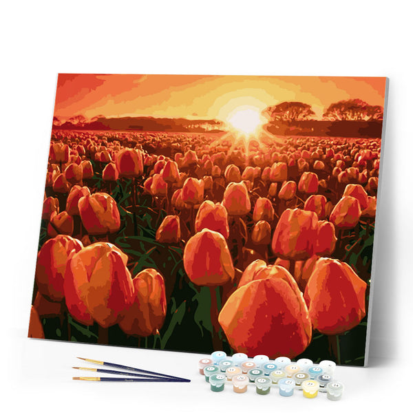 Paint by Numbers - Tulips at sunrise