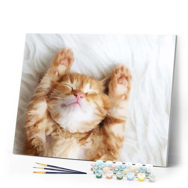 paint by numbers | Cat Nap | animals cats intermediate | FiguredArt