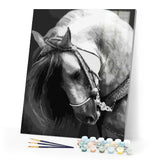 paint by numbers | Horse Neck | animals horses intermediate | FiguredArt