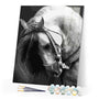 paint by numbers | Horse Neck | animals horses intermediate | FiguredArt