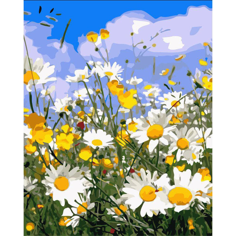 Paint by numbers | Daisy fields and blue sky | advanced flowers new arrivals landscapes | Figured'Art