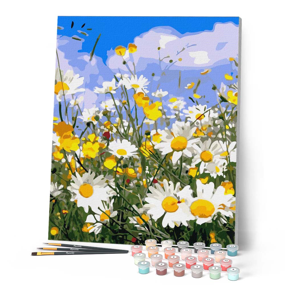 Daisy fields and blue sky – Figured'Art