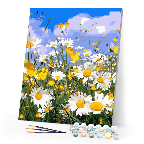 Paint by numbers | Daisy fields and blue sky | advanced flowers new arrivals landscapes | Figured'Art