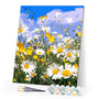 Paint by numbers | Daisy fields and blue sky | advanced flowers new arrivals landscapes | Figured'Art