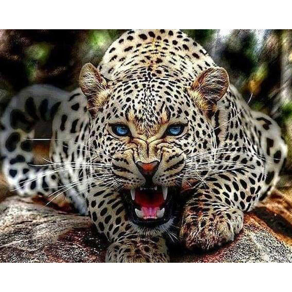 paint by numbers | Mother Leopard Roars | advanced animals leopards | FiguredArt
