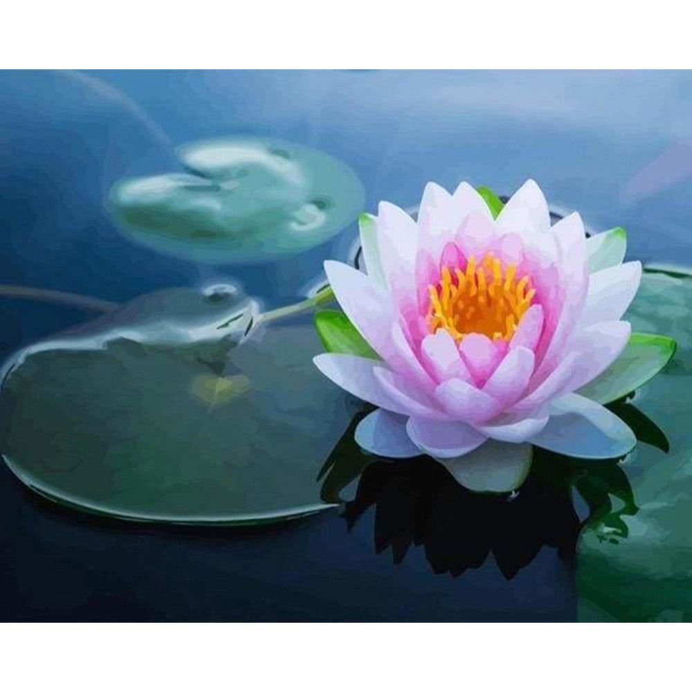 paint by numbers | Water Lily in the Pound | advanced flowers | FiguredArt